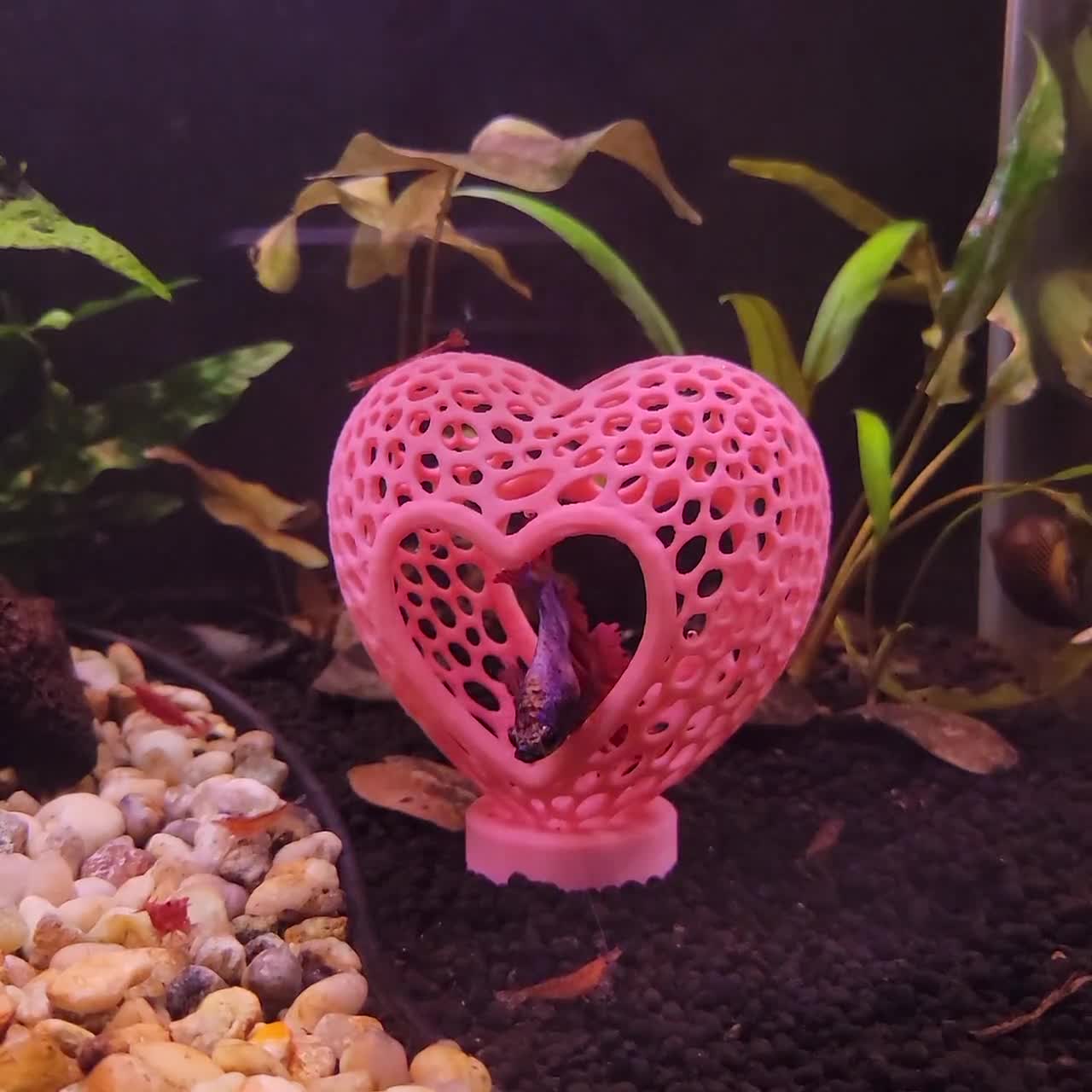 Heart Aquarium Ornament | Fish & Shrimp Hideout | Voronoi