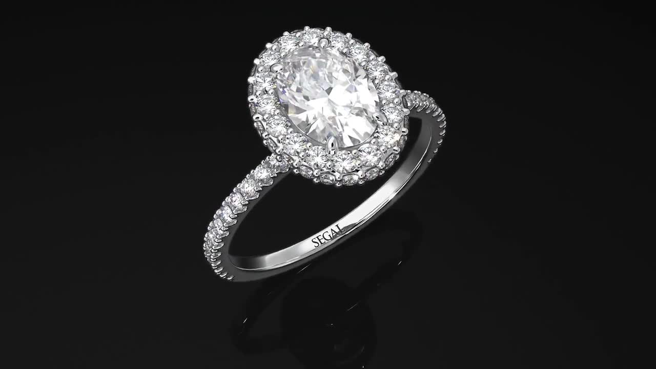 White Gold Moissanite Engagement Rings for Women Oval Diamond Halo