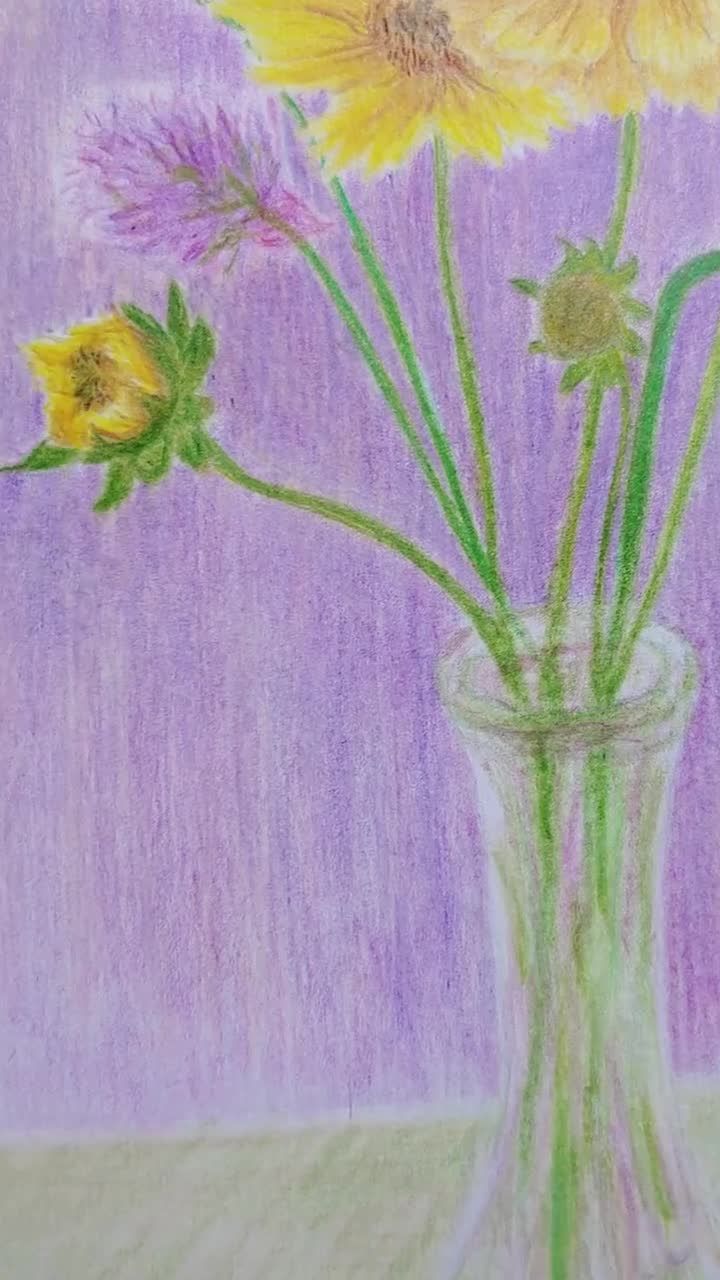 colored pencil drawings of daisies