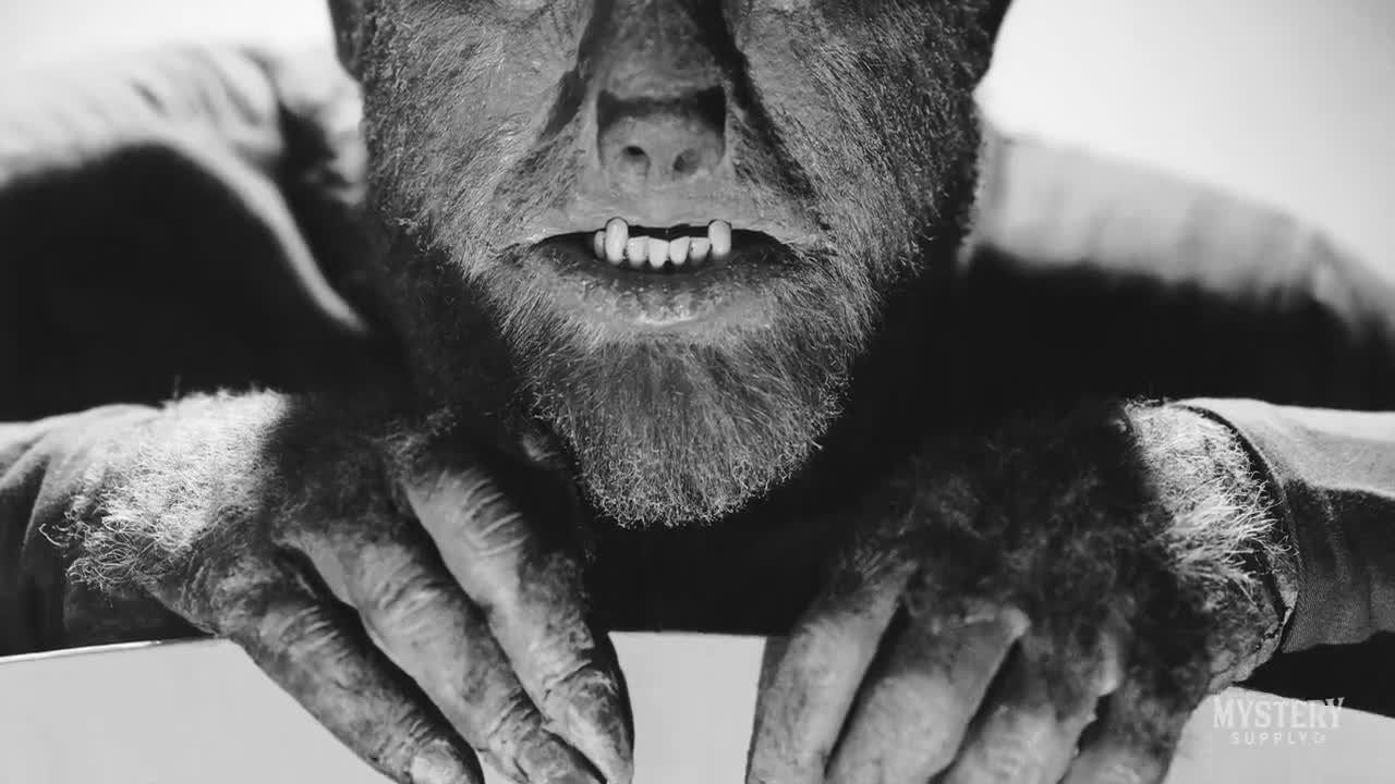 Back tattoos hi-res stock photography and images - Page 18 - Alamy, image size:1280x720