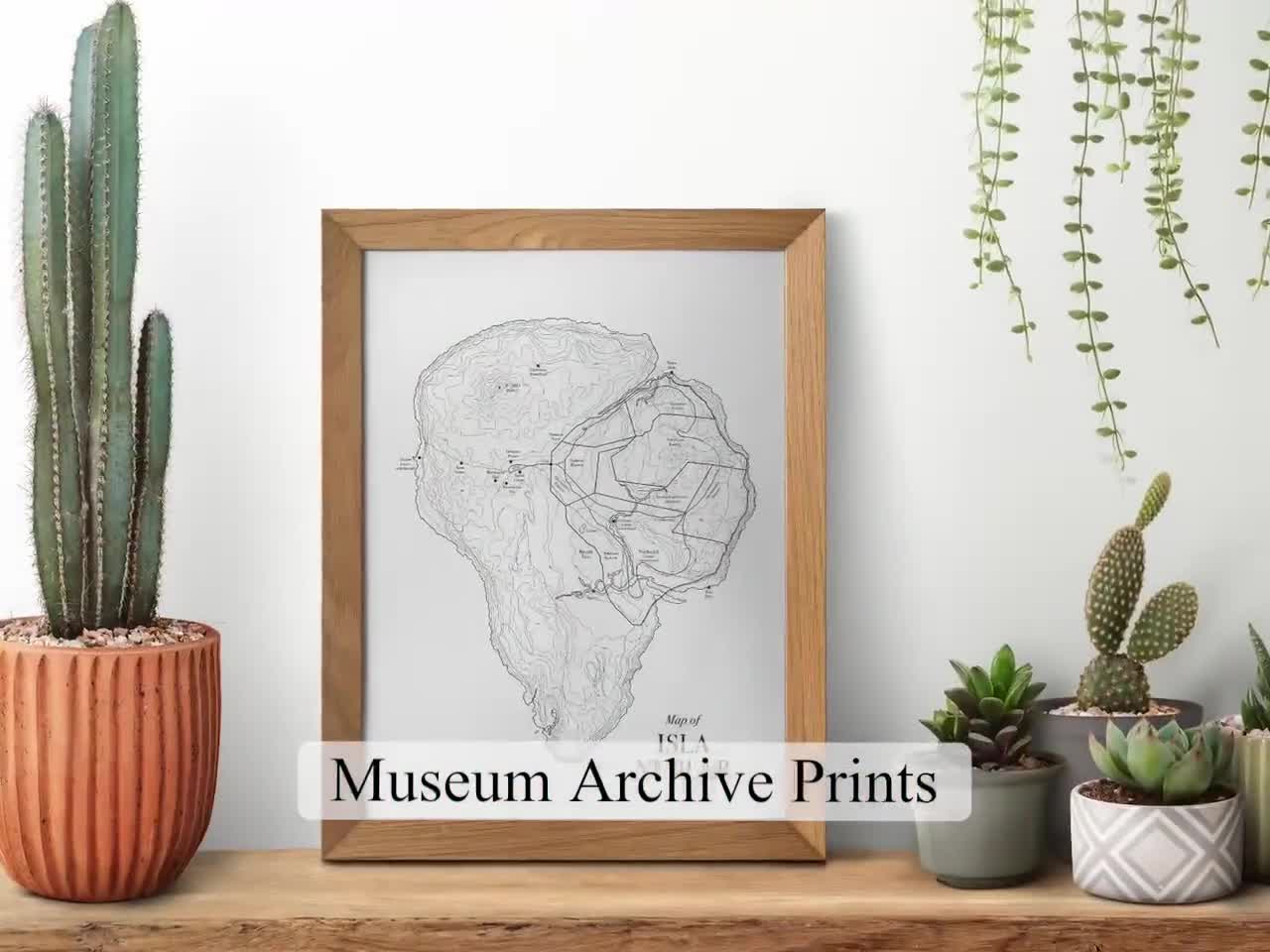 Isla Nublar Topographic Map Print: Jurassic Park Inspired Wall Art