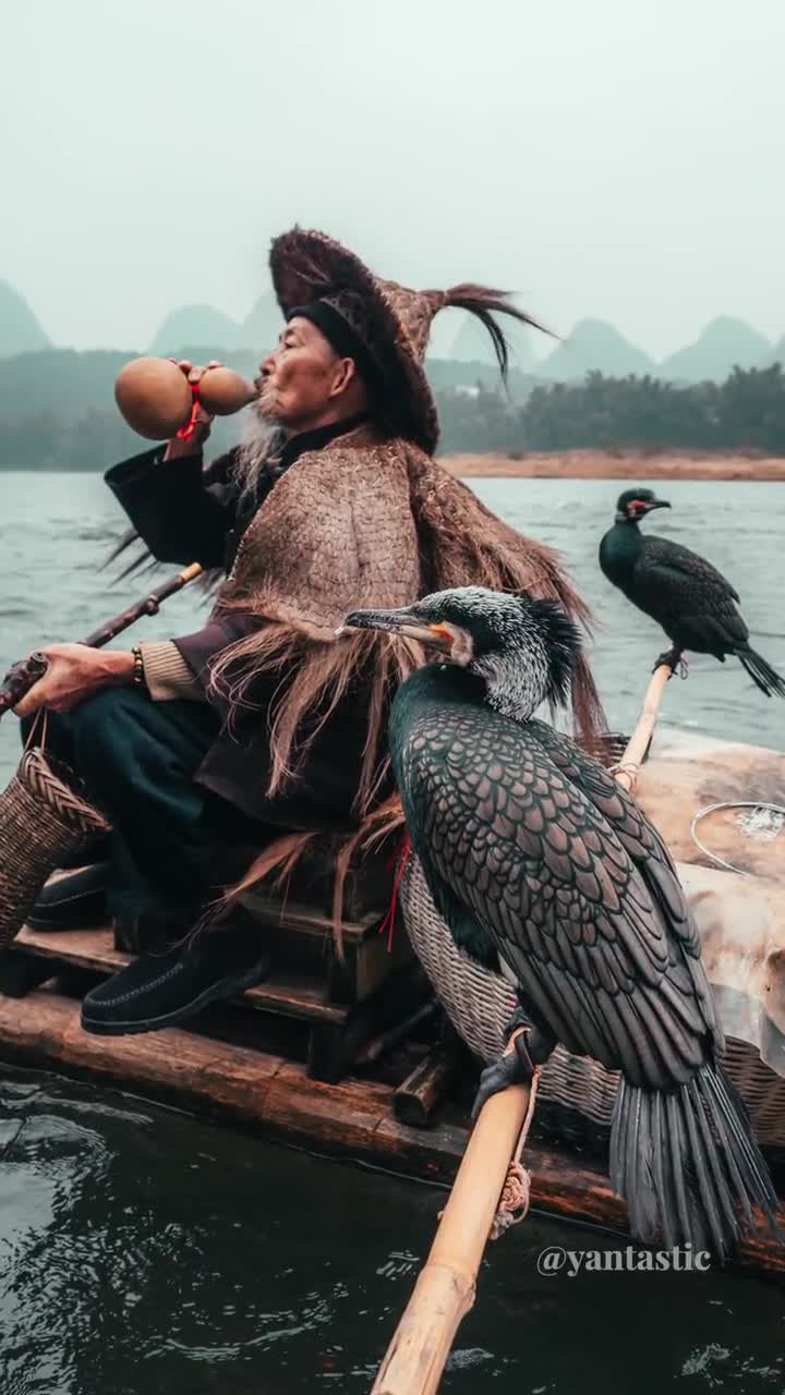 Stunning pic shows Chinese fisherman using cormorant seabirds to catch fish  in 1,000 year-old technique