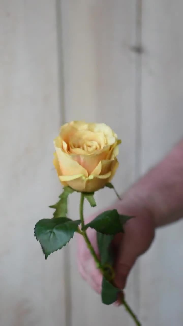 Artificial Yellow English Rose 22