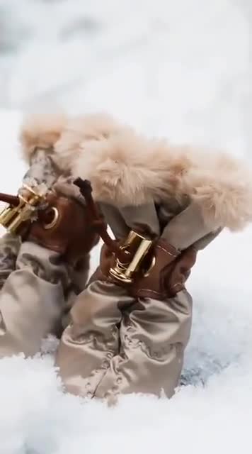 Moon Dog Boots – Geïsoleerde antislip hondenlaarzen met bontvoering | Champagnekleurige winterhondenschoenen | Set van 4 video poster