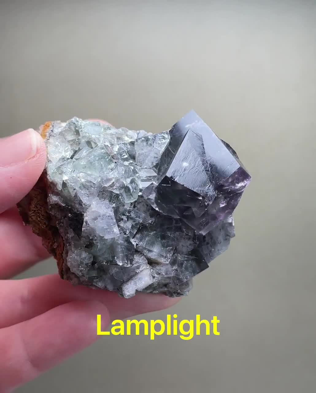 パープルレインポケット、フローライトクラスター、レディアナベラ