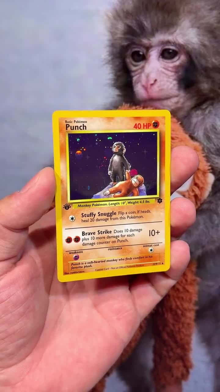 monkey pokemon card Puppet meme – ViciousProxies choose a card from your opponents discard pile and put it on top of his or her deck Games | Monkey Puppet Pokemon