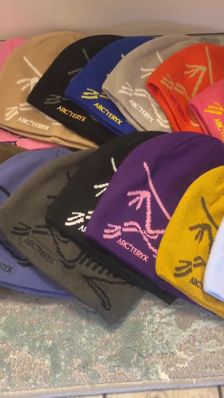 Vintage Arc'teryx Knit Beanie Hat With Dinosaur Arcteryx
