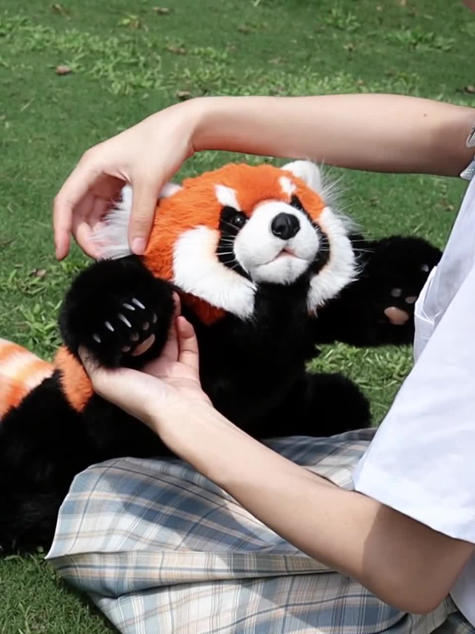 手作りの精巧なレッサーパンダの重み付きぬいぐるみ：抱き心地の良い